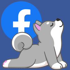 Pet Paws Grooming on Mount Holly-Huntersville Rd  Between Mount Holly & Mountain Island Lake