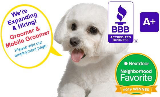 Dog Grooming in Charlotte NC